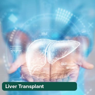 Liver Transplant Surgery